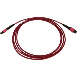 Tripp N845B-10M-12-MG Cables And Connecti