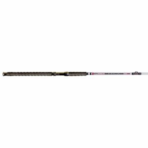 Bnm MAG70Sn Bnm Silver Cat Magnum 7ft Spinning Rod