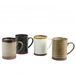 Gibson 113225.01 Home Terra Bella 18.5 Oz Mug Set In Assorted Colors, 