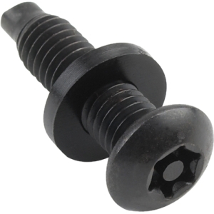 Chief PNTX-100 Pin Torx Security Screws, 100