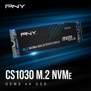 Pny M280CS1030-250-RB 250g M.2 2280 Nvme Pcie