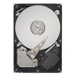 Seagate ST3500418AS Tdsourcing Desktop Hdd