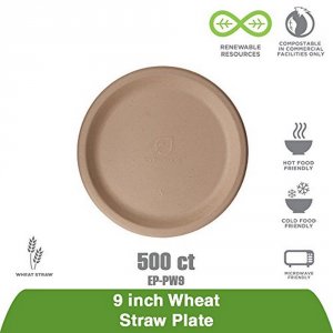 Eco-products,inc. EP-PW9 Plate,9,wheatstraw,tn