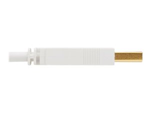 Tripp U022AB-010-WH Usb-a To Usb-b Antibacterial Cable 10ft