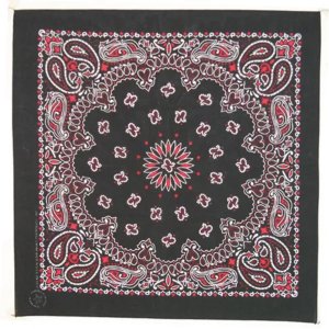 Fox 83-35 22 X 22 Bandanna 12 Pack - Blackredwhite Paisley