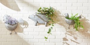 Accent 4506375 Galvanized Metal Wall Planter - Bird