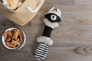 Bone CAMZ38172S Squeaky Raccoon Pet Toy