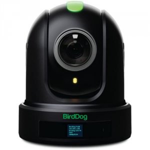 Birddog BDP110B P110. 1080p Ptz Camera