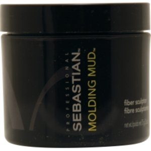 Paul 164713 Sebastian By Sebastian Molding Mud 2.6 Oz For Anyone