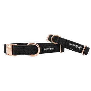 Sassy C-BLACK-M Collar (pack Of 1)