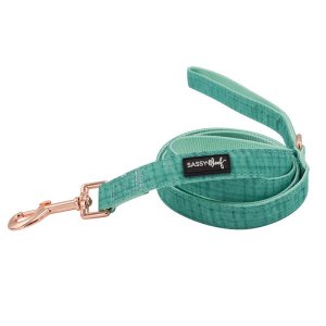 Sassy L-WYT Leash (pack Of 1)