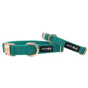 Sassy C-NAPA-L Collar (pack Of 1)