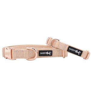 Sassy C-PINOT-S Collar (pack Of 1)