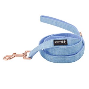 Sassy L-BLUMOND Leash (pack Of 1)