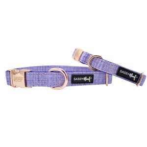 Sassy C-AURORA-L Collar (pack Of 1)