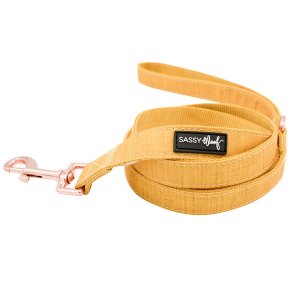 Sassy L-SUNFLOWERFIELDS Leash (pack Of 1)