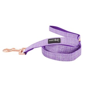 Sassy L-AURORA Leash (pack Of 1)