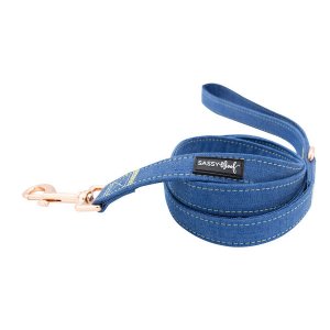 Sassy L-DENIM Leash (pack Of 1)