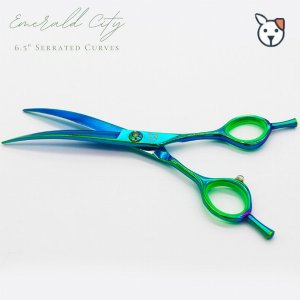 Ry LP-SH-CV-EC-6 Emerald City Curves (pack Of 1)