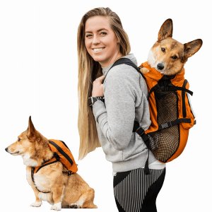 K9 WLKON-ORG-M Walk-on With Harness  Storage (pack Of 1)