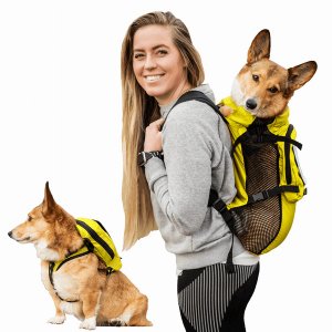 K9 WLKON-YLW-S Walk-on With Harness  Storage (pack Of 1)