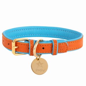 Poisepup 1473-285 Dog Collar (pack Of 1)