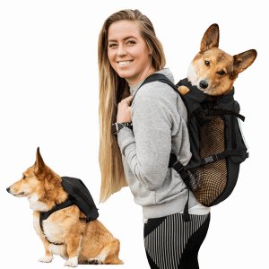 K9 WLKON-BLK-S Walk-on With Harness  Storage (pack Of 1)