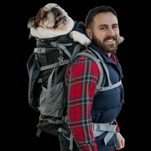 K9 ROV2-XL-BLK_OR Rover 2 | Big Dog Carrier  Backpacking Pack (pack Of