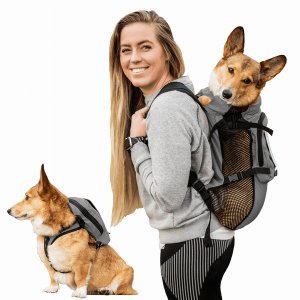 K9 WLKON-GRY-L Walk-on With Harness  Storage (pack Of 1)