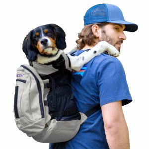 K9 PLUS2-GRY-L_OR Plus 2 (pack Of 1)