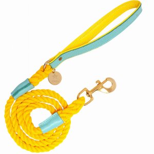 Poisepup 1473-206 Dog Leash (pack Of 1)