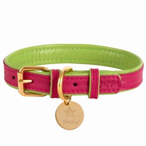 Poisepup 1473-282 Dog Collar (pack Of 1)