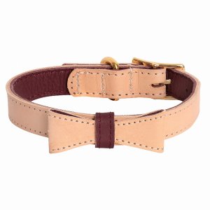 Poisepup 1473-270 Dog Collar (pack Of 1)