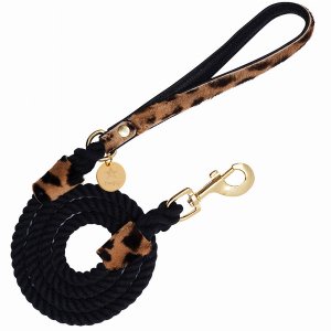 Poisepup 1473-135 Dog Leash (pack Of 1)