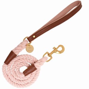 Poisepup 1473-265 Dog Leash (pack Of 1)