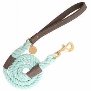 Poisepup 1473-264 Dog Leash (pack Of 1)