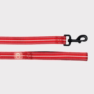 Gf GL439S1-RD-XXS Gf Pet  Reflective Leash (pack Of 1)