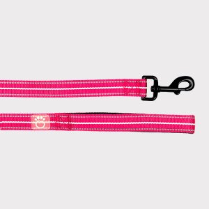 Gf GL439S1-NP-XXS Gf Pet  Reflective Leash (pack Of 1)