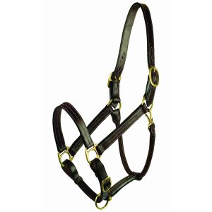 Adventure 5-105619 Gatsby Premium Adjustable Triple Stitched Halter (p