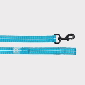 Gf GL439S1-NB-XXS Gf Pet  Reflective Leash (pack Of 1)