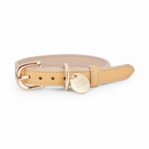 Nina NWCXSC21 Copenhagen Dog Collar (pack Of 1)