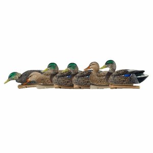 Avianx AVX-AVX8062 Avian-x Topflight Decoys Early Season Mallards