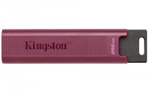 Kingston DTMAXA/256GB 256gb Datatraveler Max Type-a 1000r900w Usb 3.2 