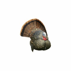 Avianx AVX-AVX8004 Avian-x Lcd Strutter Decoy