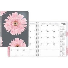 Dominion RED CB1200G05 Rediform Essential Monthly Planner - Monthly - 