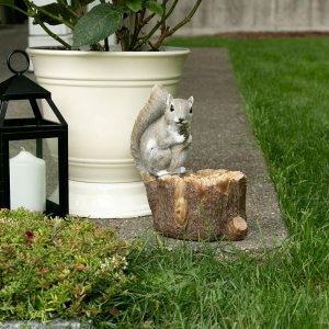 Songbird 10018251 Squirrel With Tree Trunk Bird Feeder