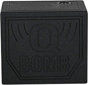 Qpower QBOMB10HPSINGLE Qbomb Single 10-inch Subwoofer Enclosure