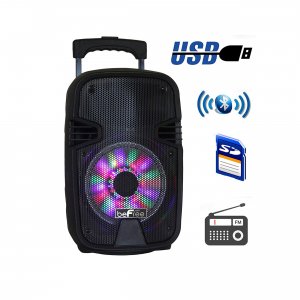 Befree BFS-3000 Sound 8 Inch Bluetooth Portable Party Speaker With Usb