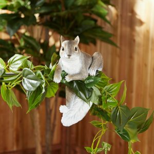 Accent 10019112 Climbing Cuties - Chip The Squirrel