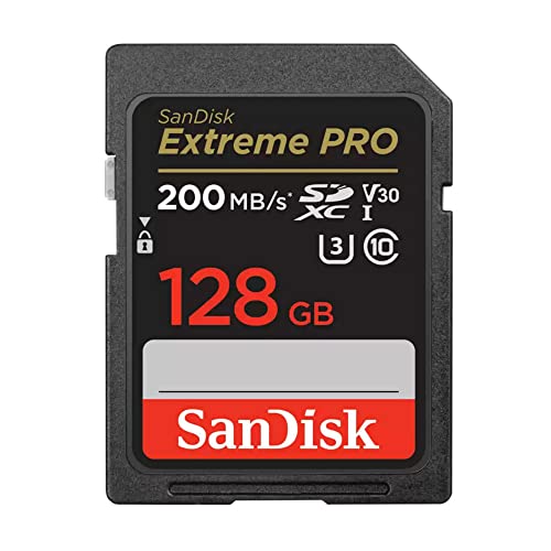 SanDisk-SDSDXXD-128G-ANCIN